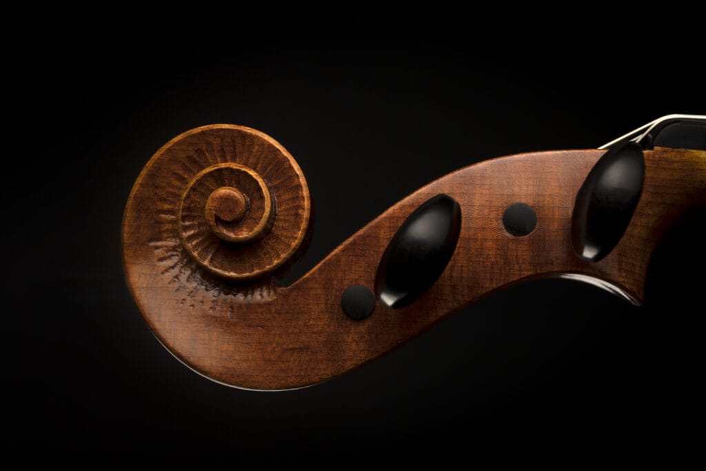 Face droite d'une volute d'un violon In Fine