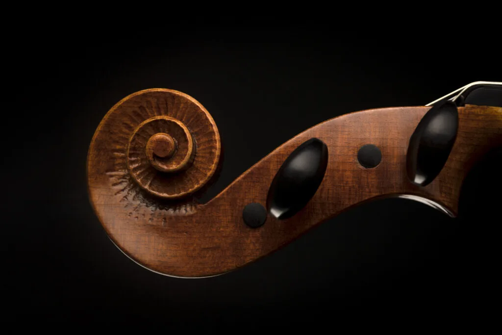 Face droite d'une volute d'un violon In Fine
