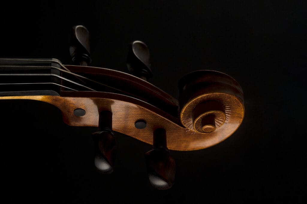 Vue de gauche d'une volute d'un violon In Fine