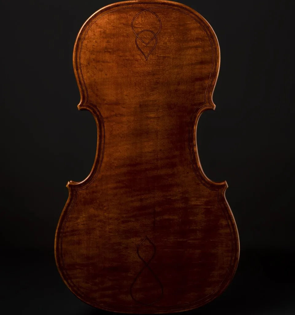 Face arrière d'un violon In Fine
